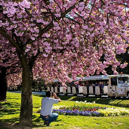 Apartmán Schoene In By Interhome *