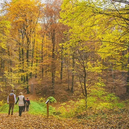 Schoene In By Interhome