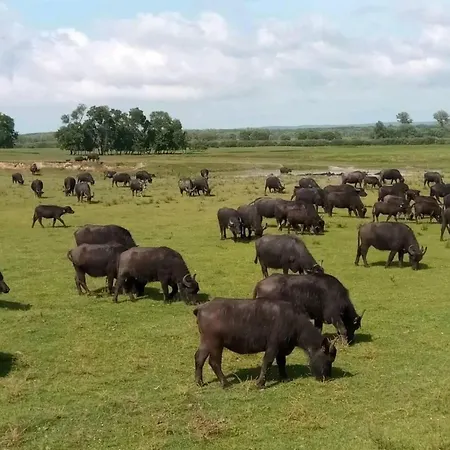 Schoene In By Interhome Apartmán Zalakaros