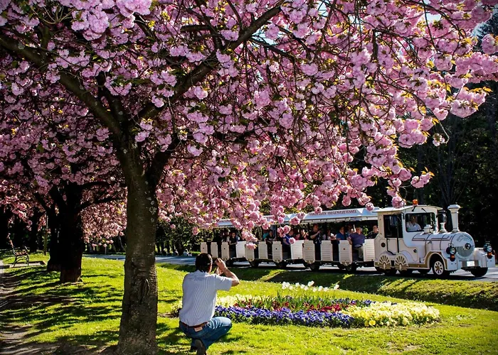 דירה Schoene In By Interhome *