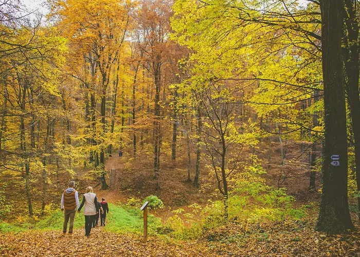 Schoene In By Interhome